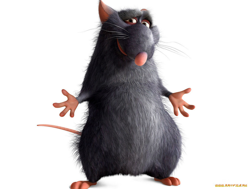 , ratatouille